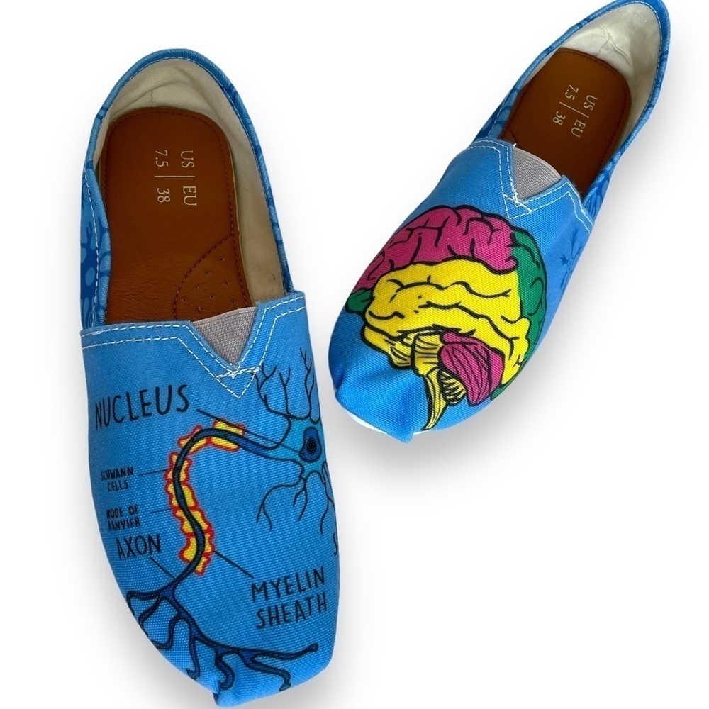 SCIENCE Slides! Brain, Neuron, neurology anatomy biology teacher slide shoes